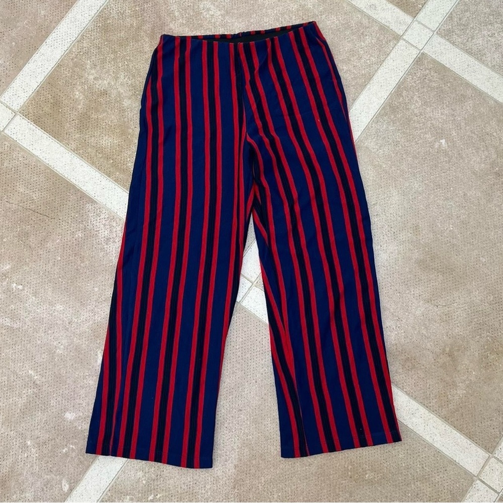 Silence + Noise Red and Blue Striped Pants